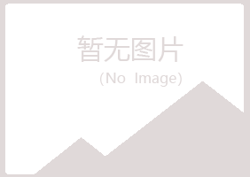 清水河县夏槐工程有限公司